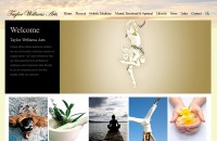 Taylor Wellness Arts